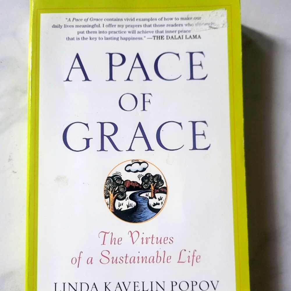 A Pace of Grace : The Virtues of a Sustainable Life by Linda Kavelin